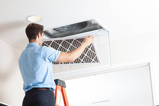 Best HVAC maintenance near me  in Tarkio, MO